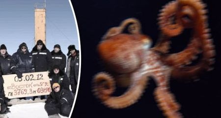 Руссские ученые и осьминог-убица. Фото  Daily Express